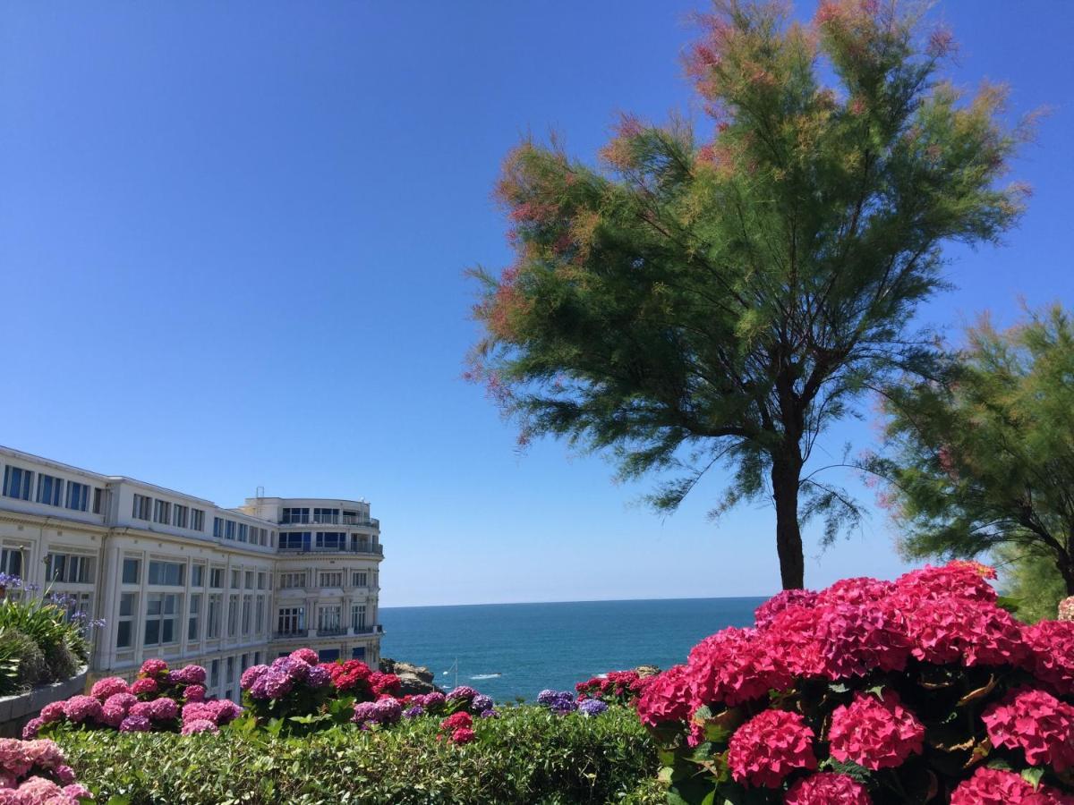 Charmant T2 Biarritz Centre Exterior photo